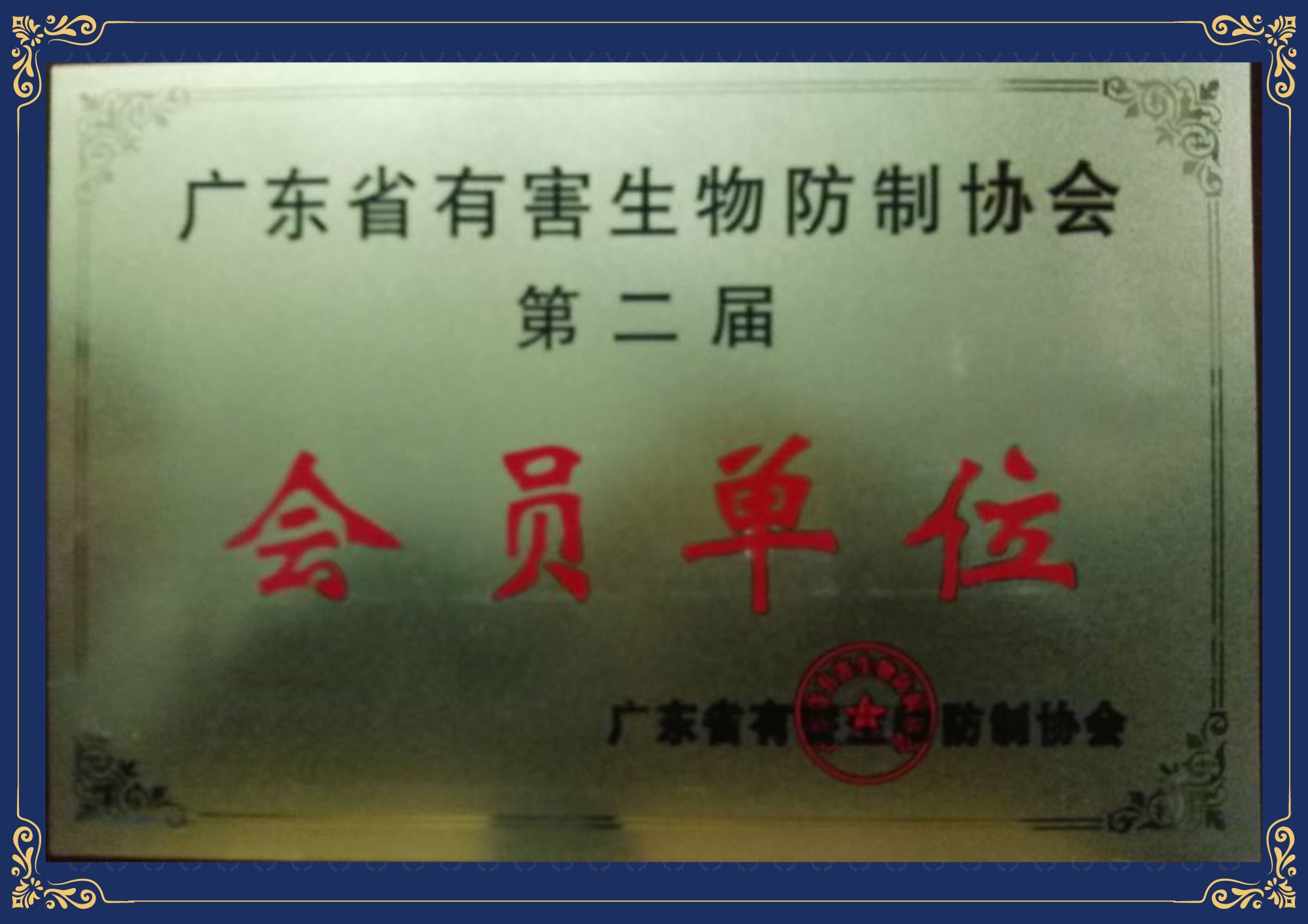 会员单位