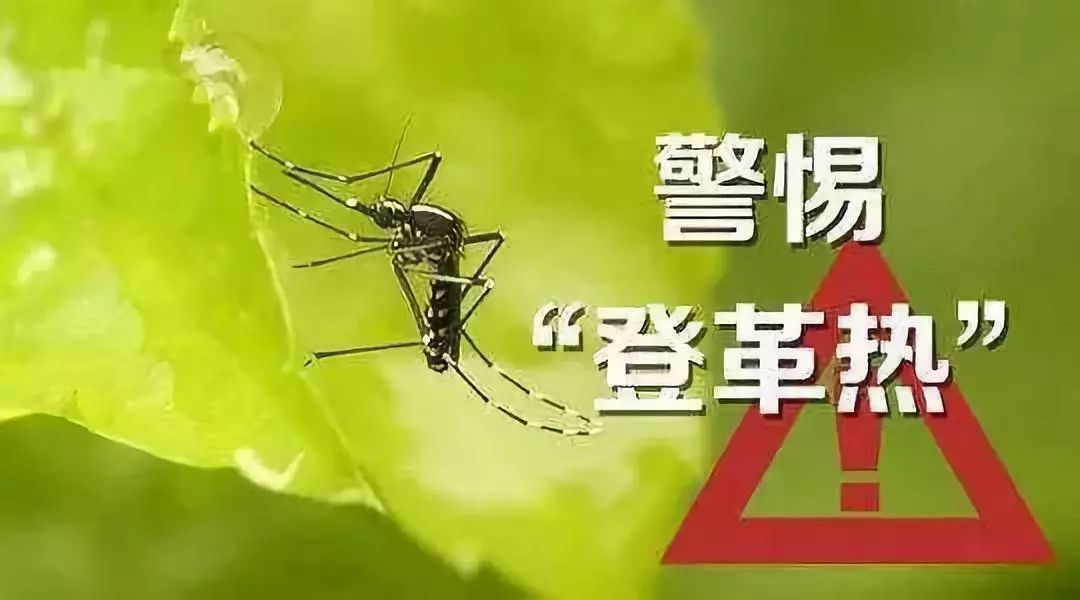 广东登革热病例激增！专家...